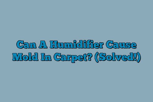 Can A Humidifier Cause Mold In Carpet? (Solved!)