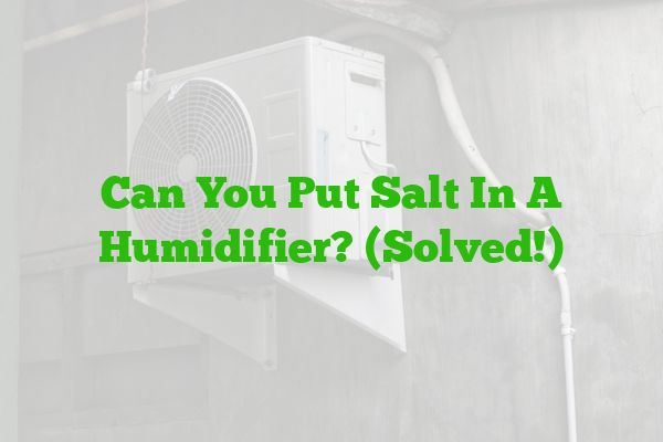 Can You Put Salt In A Humidifier? (Solved!)