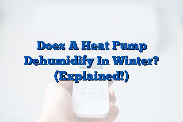 Does A Heat Pump Dehumidify In Winter? (Explained!)