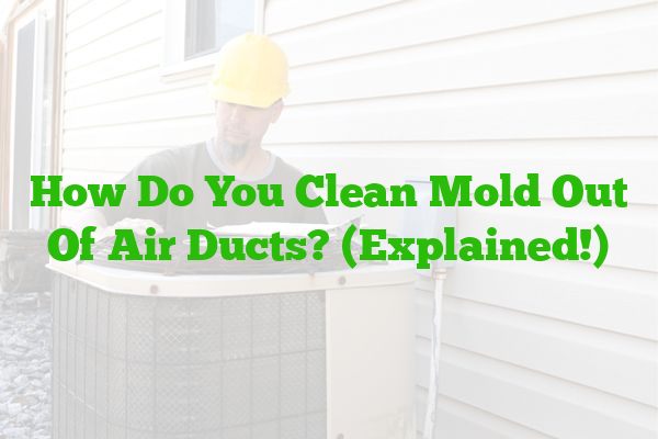 How Do You Clean Mold Out Of Air Ducts? (Explained!)