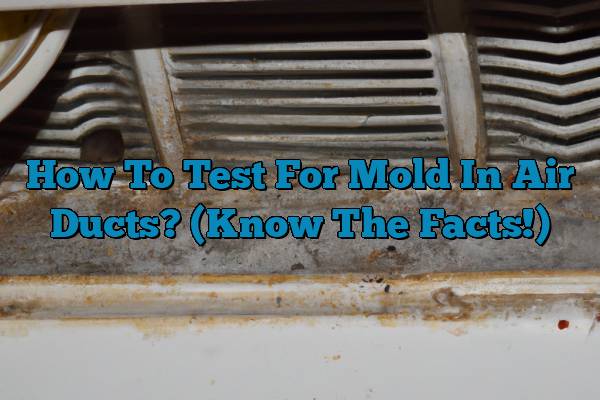 How To Test For Mold In Air Ducts? (Know The Facts!)
