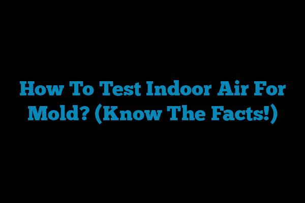 How To Test Indoor Air For Mold? (Know The Facts!)