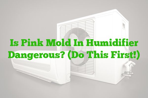 Is Pink Mold In Humidifier Dangerous? (Do This First!)