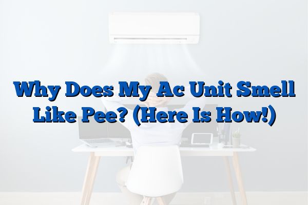 Why Does My Ac Unit Smell Like Pee? (Here Is How!)