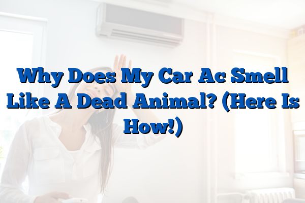 Why Does My Car Ac Smell Like A Dead Animal? (Here Is How!)
