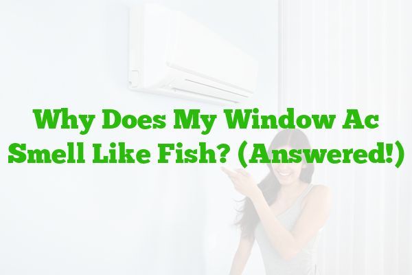 Why Does My Window Ac Smell Like Fish? (Answered!)